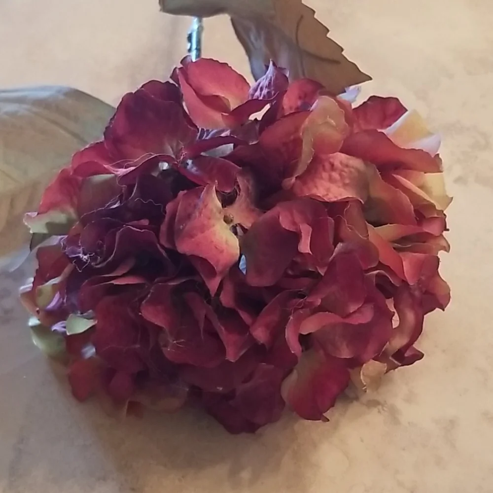 Extra Large Burgundy Peony